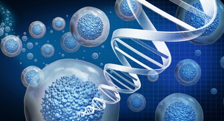 cell expansion market
